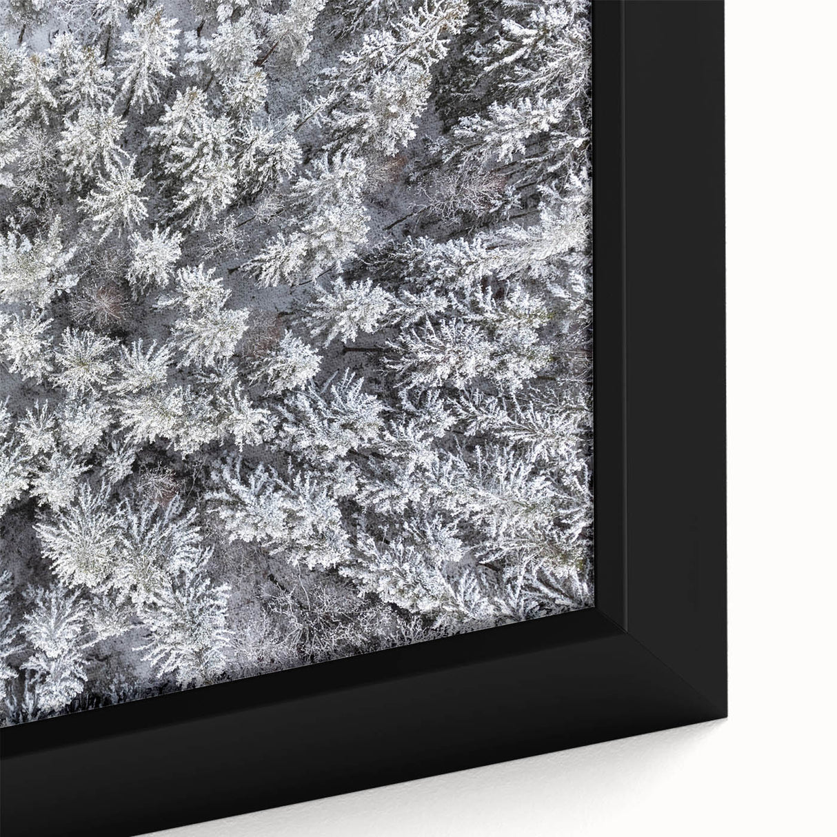 Framed botanical wall art featuring vibrant flowers and lush greenery, showcasing intricate details and textures, perfect for adding a natural touch to home decor.