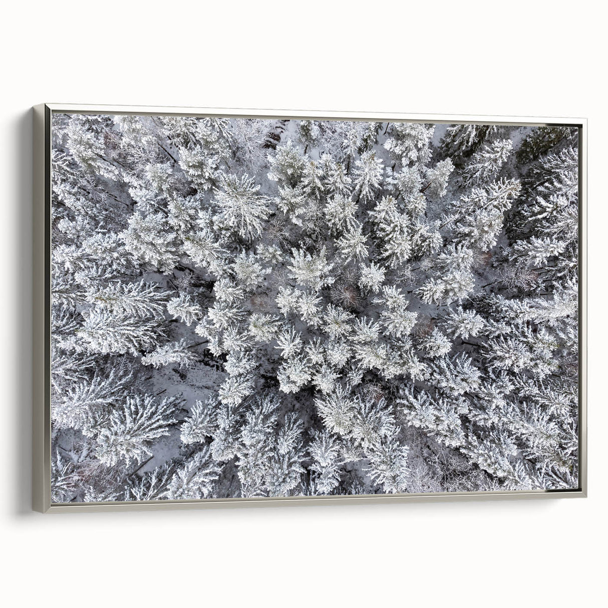 Framed wall art featuring a botanical forest design with colorful flowers and trees, showcasing a sleek silver frame, ideal for home decor.