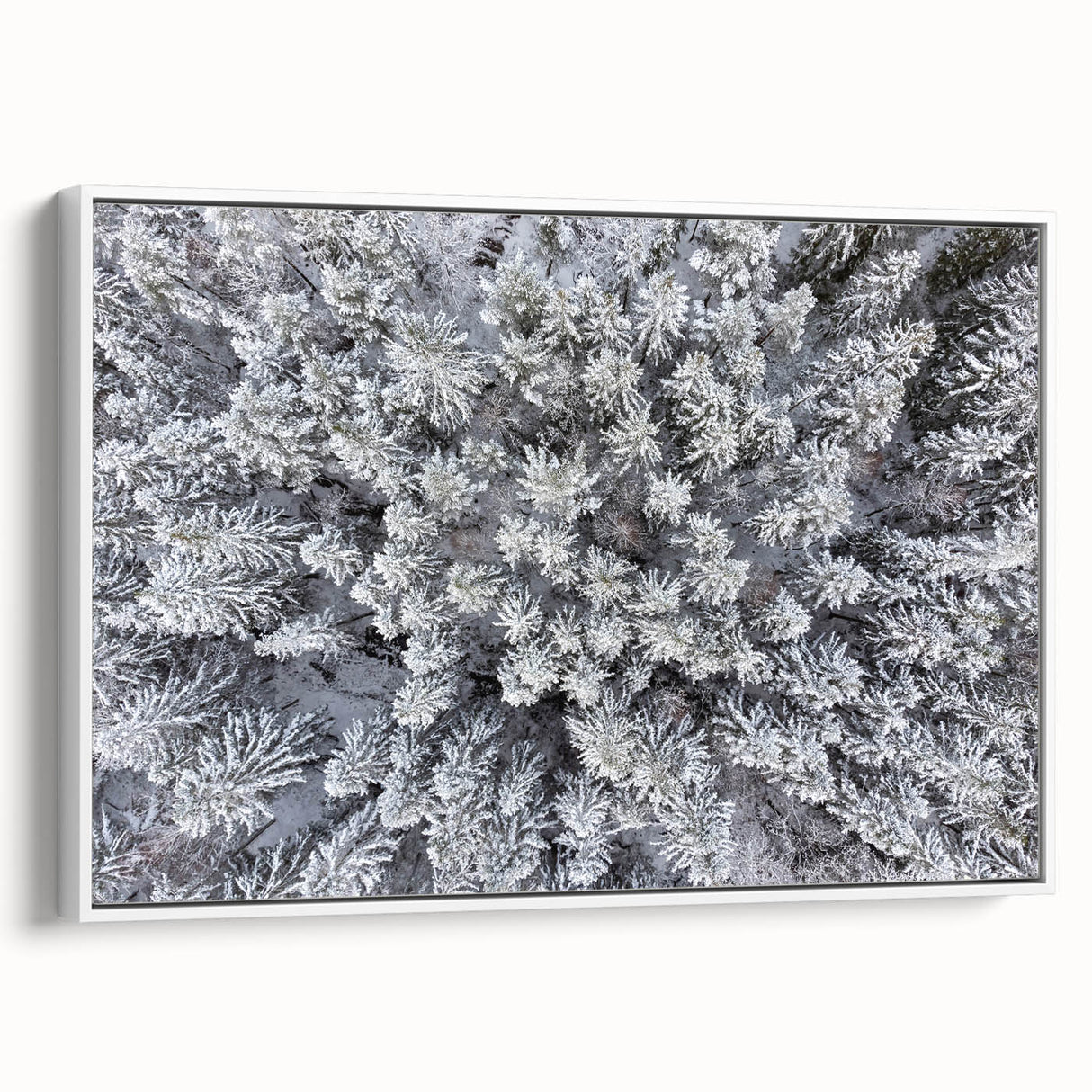 Framed wall art showcasing a botanical forest design with vibrant flowers and trees, set against a white background, ideal for enhancing modern decor.