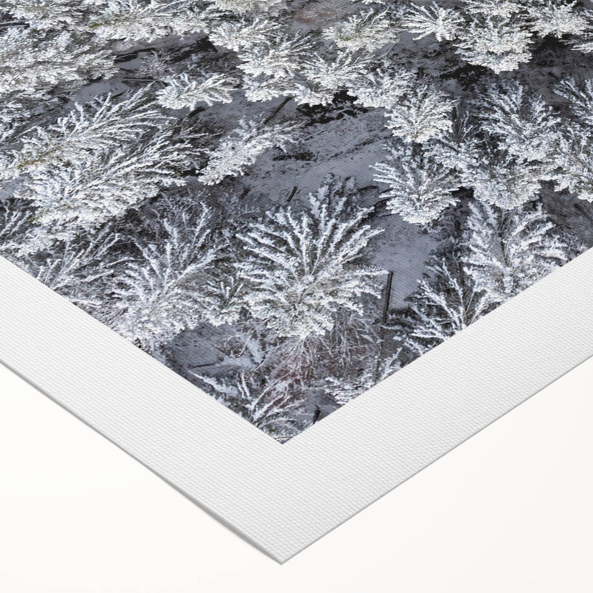 Botanical forest wall art featuring vibrant flowers and trees, printed on rolled canvas, ideal for home decor enhancement and nature-inspired aesthetics.