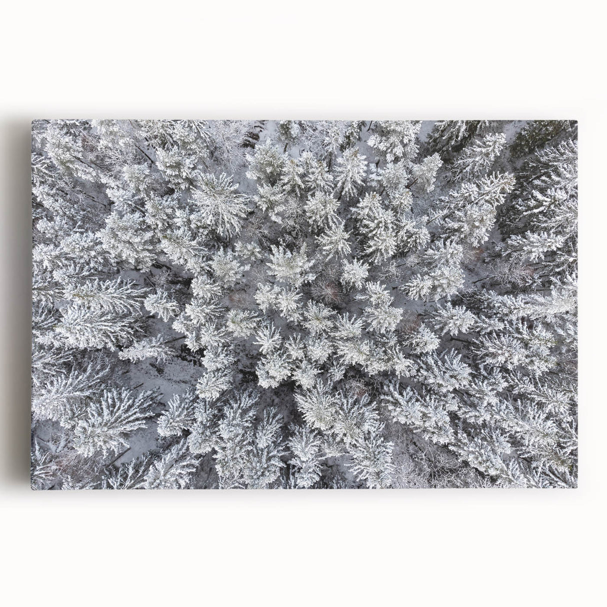 Vibrant botanical forest wall art featuring a lush design of blooming flowers and trees, printed on stretched canvas, ideal for enhancing home decor.