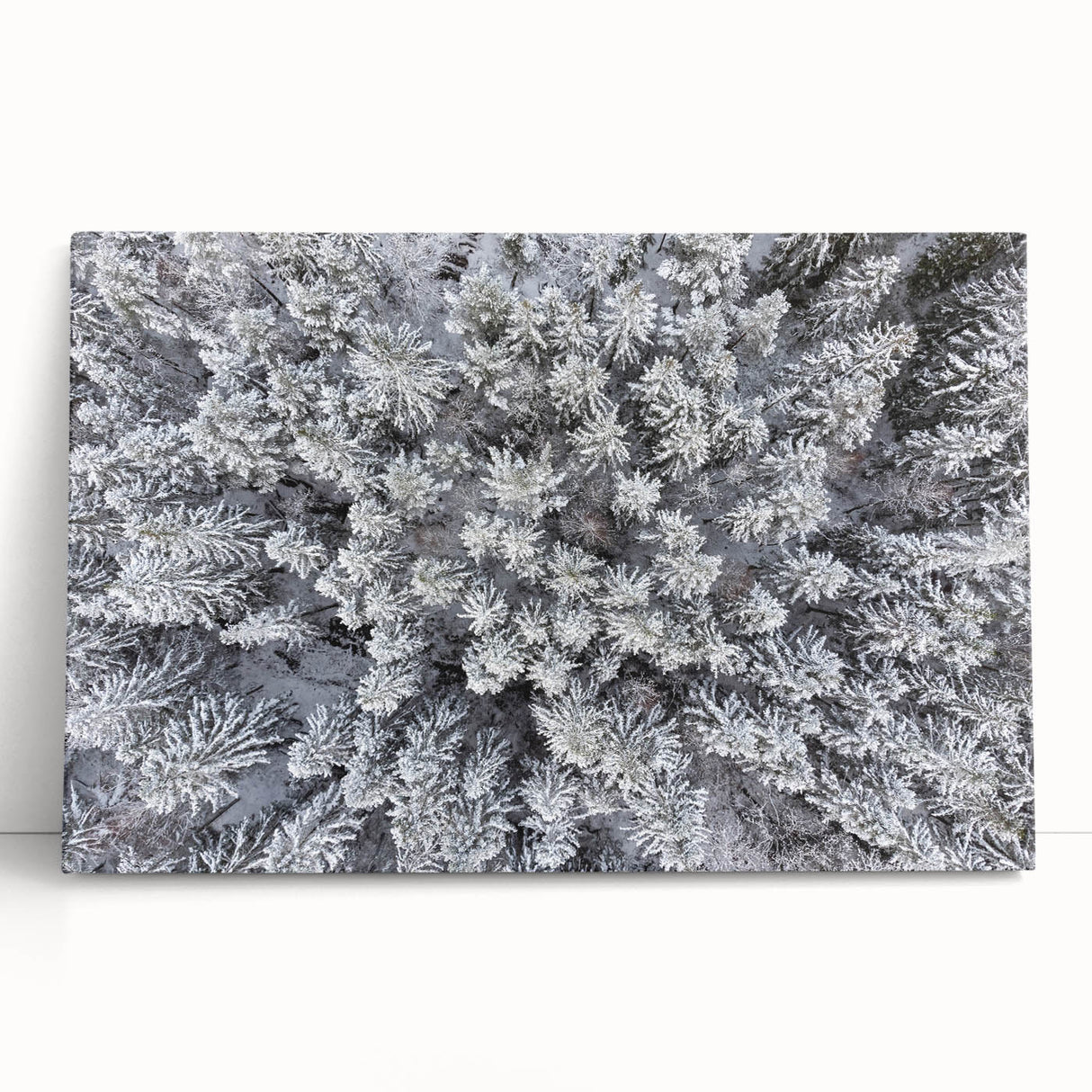 Stretched canvas wall art showcasing a vibrant botanical forest design with colorful flowers and trees, ideal for adding a natural touch to home decor.