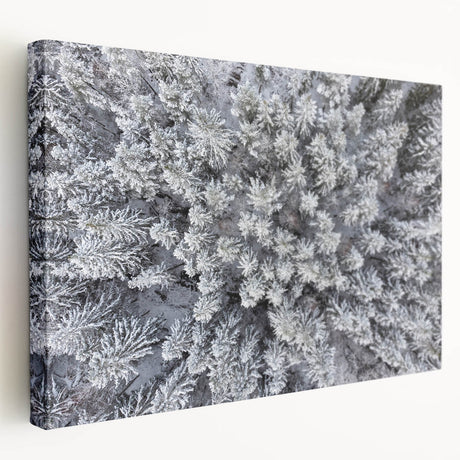Stretched canvas wall art featuring a vibrant botanical forest design with colorful flowers and trees, showcasing intricate details and a modern aesthetic. Perfect for enhancing home decor with a natural theme.