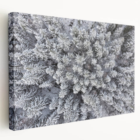 Stretched canvas wall art featuring a vibrant botanical forest design with colorful flowers and trees, showcasing intricate details and a modern aesthetic. Perfect for enhancing home decor with a natural theme.