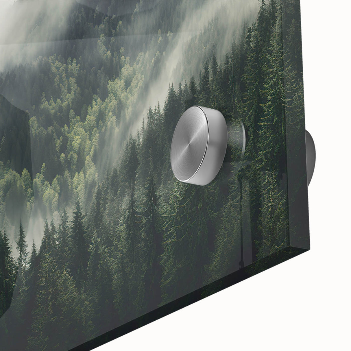 Close-up of a vibrant botanical forest wall art design featuring colorful flowers and lush greenery, printed on acrylic glass to enhance visual depth and clarity. Ideal for home decor, adding a touch of nature-inspired elegance to any room.