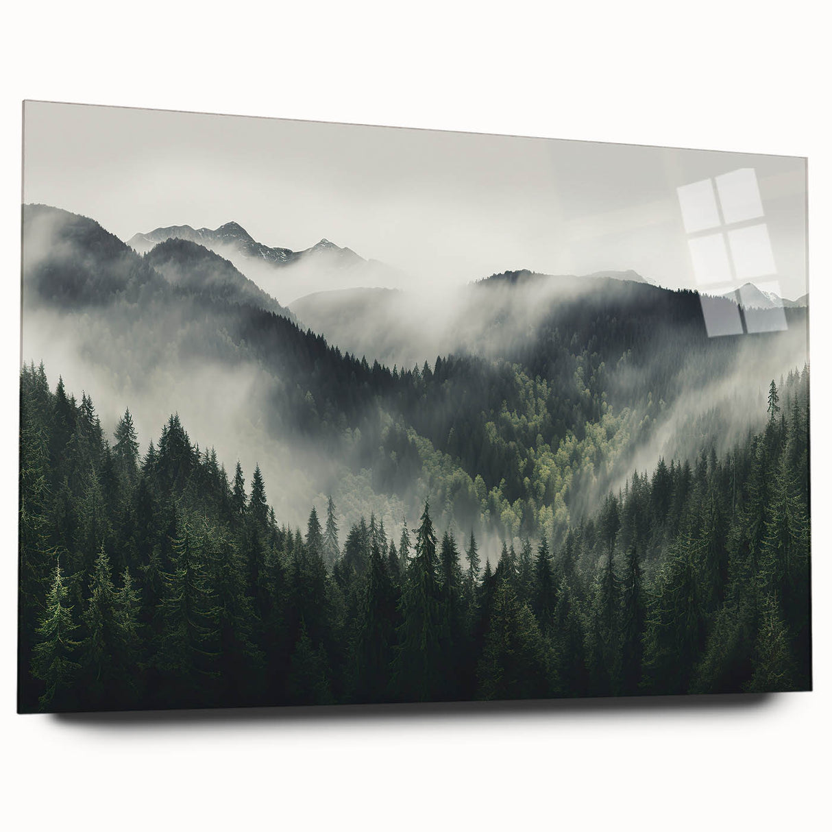 Botanical forest wall art collection featuring vibrant flowers and trees, displayed on acrylic glass with a contemporary side view, perfect for home decor enhancement.