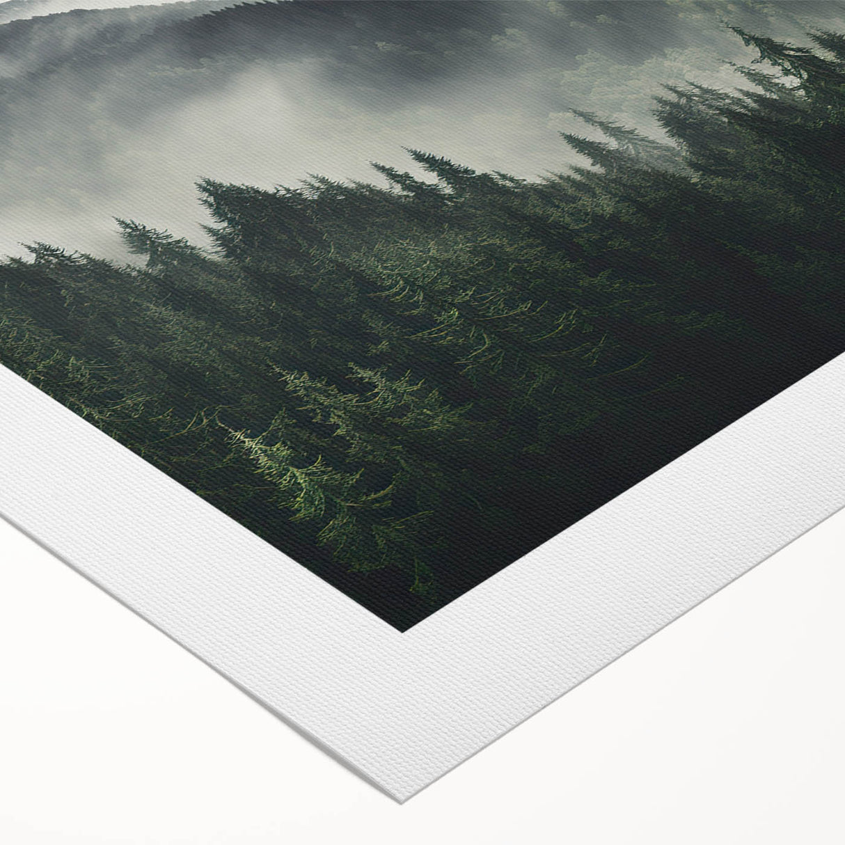 Vibrant rolled canvas artwork showcasing a botanical forest design with colorful flowers and trees, ideal for home decor or nature-themed spaces, delivered in protective packaging.