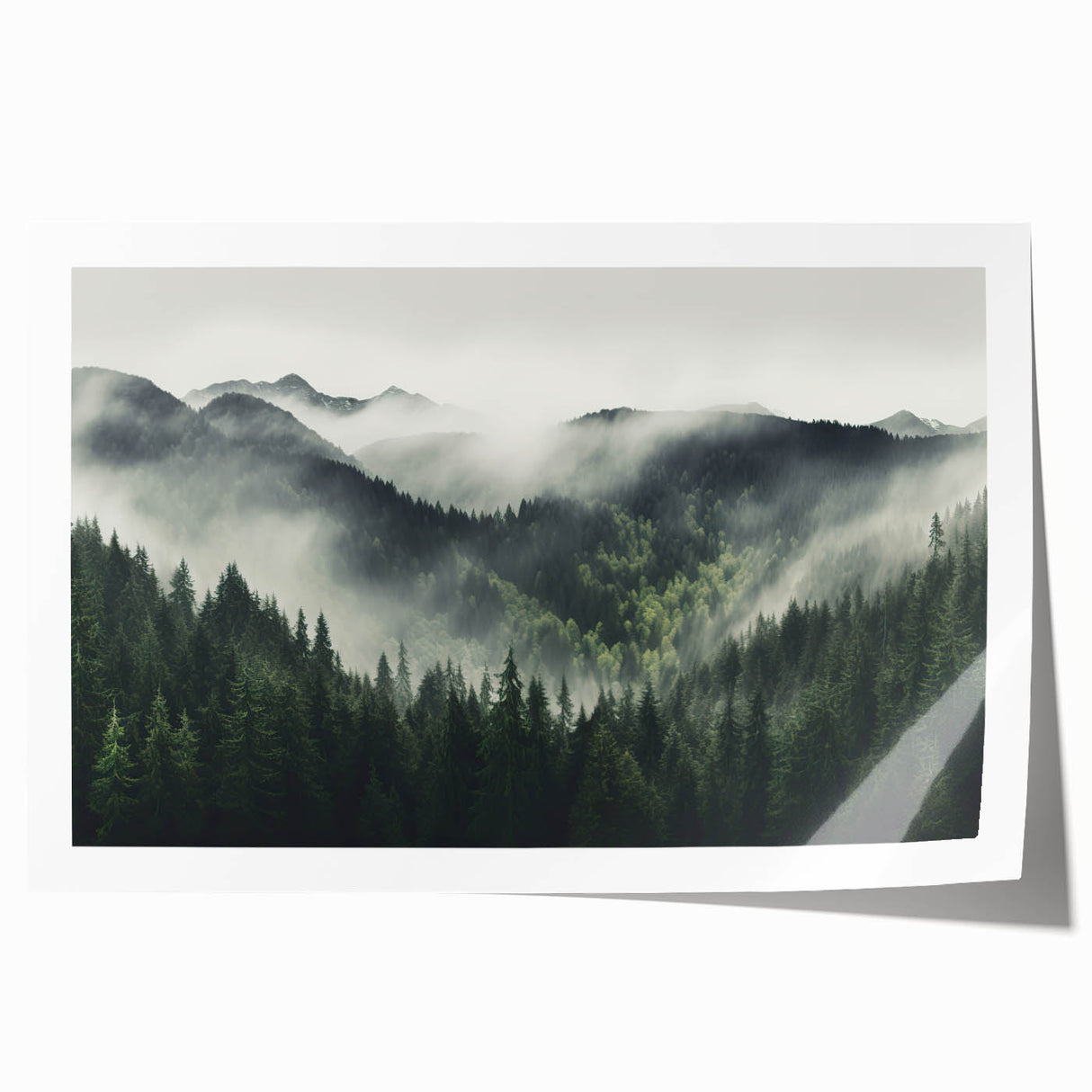 Botanical forest wall art print showcasing an intricate design of colorful flowers and trees on high-quality paper, ideal for home decor and nature enthusiasts.