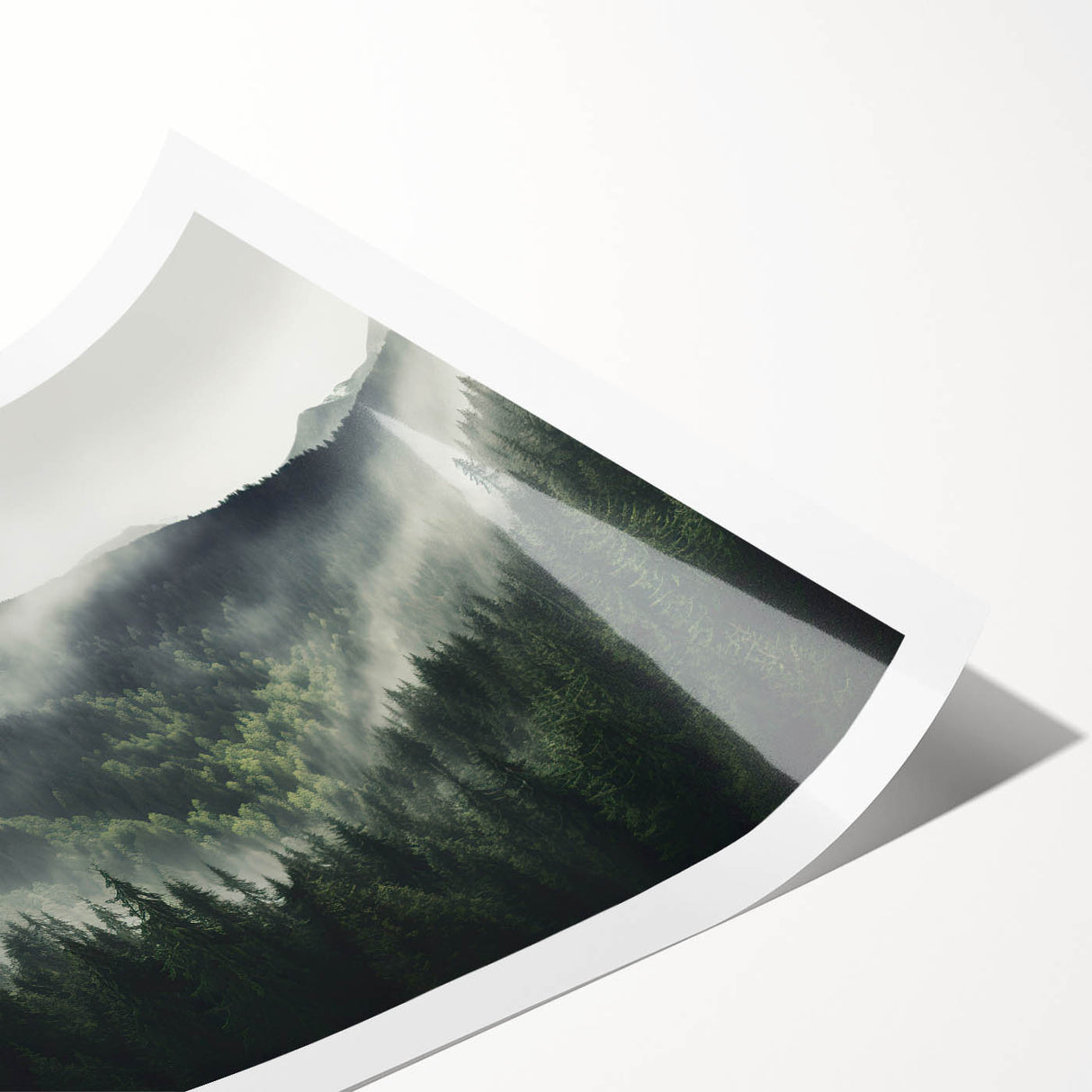 Botanical forest wall art print showcasing vibrant flowers and trees in a lush green setting, designed for home decor, rolled for easy framing and display.