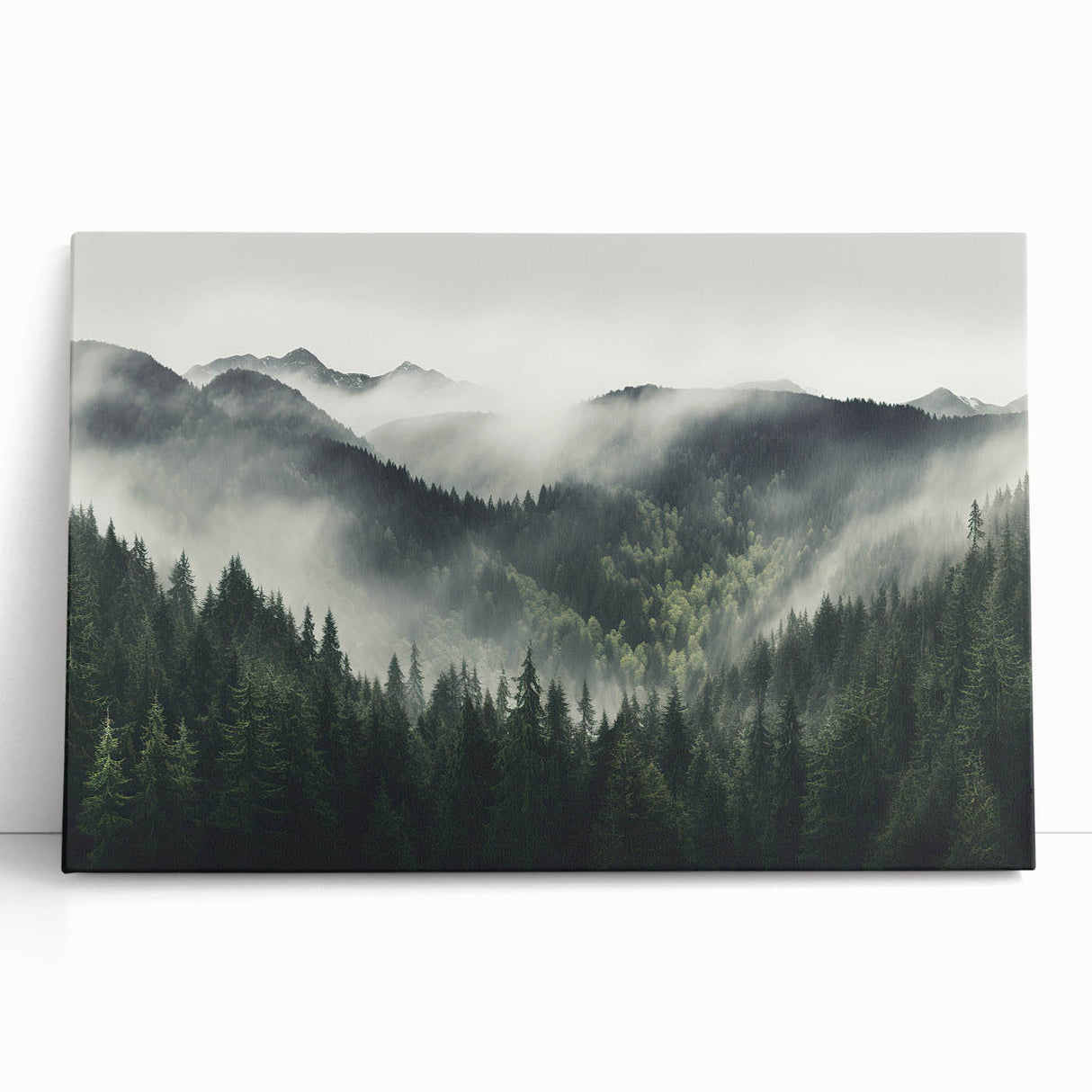 Botanical forest wall art collection on stretched canvas, showcasing vibrant flowers and trees in a serene landscape, perfect for home decor enhancement.