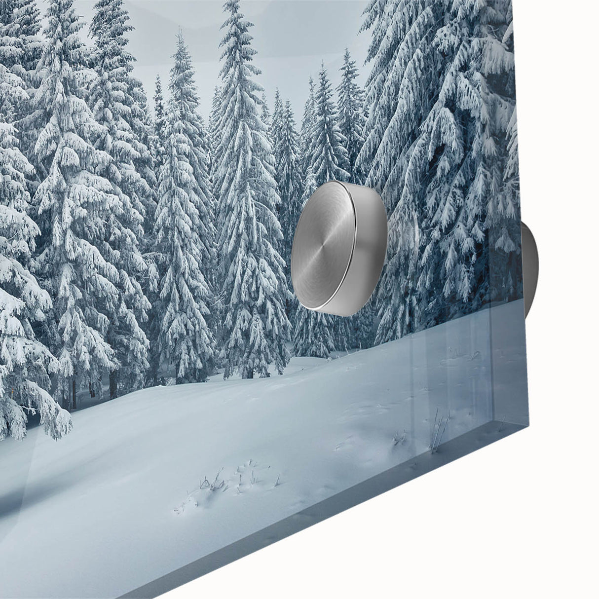 Close-up of a botanical forest wall art design featuring vibrant flowers and trees, printed on acrylic glass for a modern aesthetic, perfect for home decor.