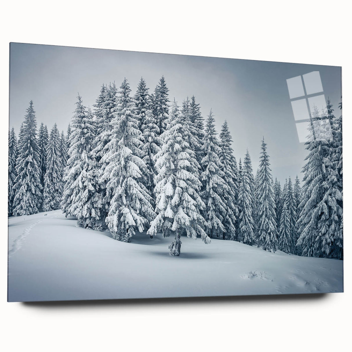 Acrylic glass wall art collection showcasing a botanical forest design with vibrant flowers and trees, displayed from the side, highlighting its sleek edges and modern aesthetic.