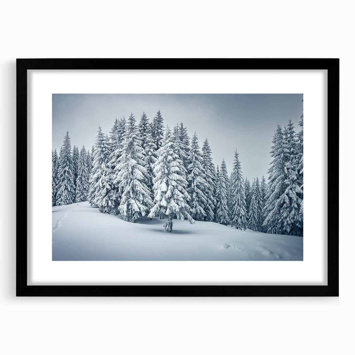 Framed botanical wall art collection featuring a vibrant forest of flowers and trees, presented in a sleek black frame with a white mat for a modern touch.