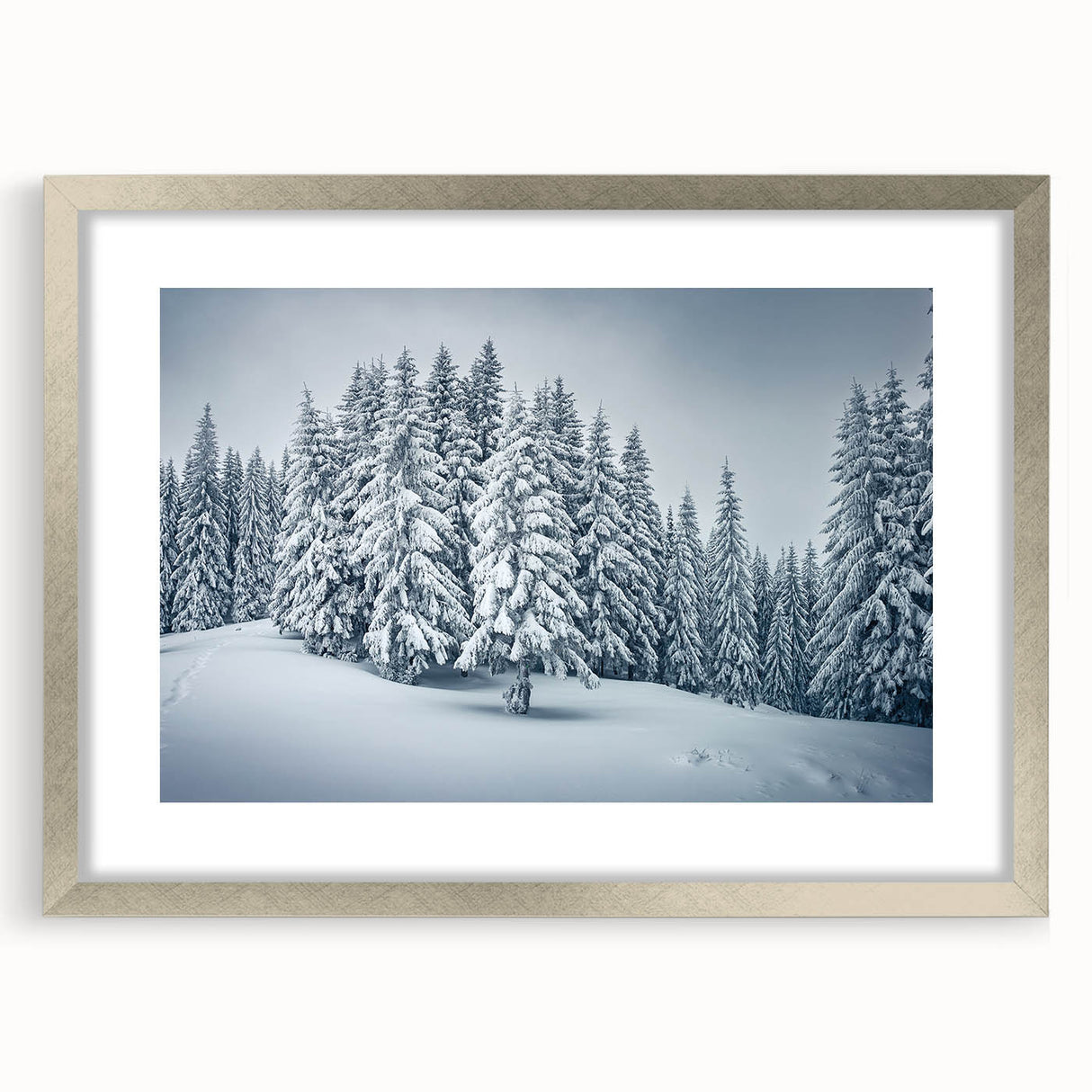 Framed botanical wall art featuring a forest of colorful flowers and trees, elegantly displayed with a silver mat, perfect for enhancing home decor.