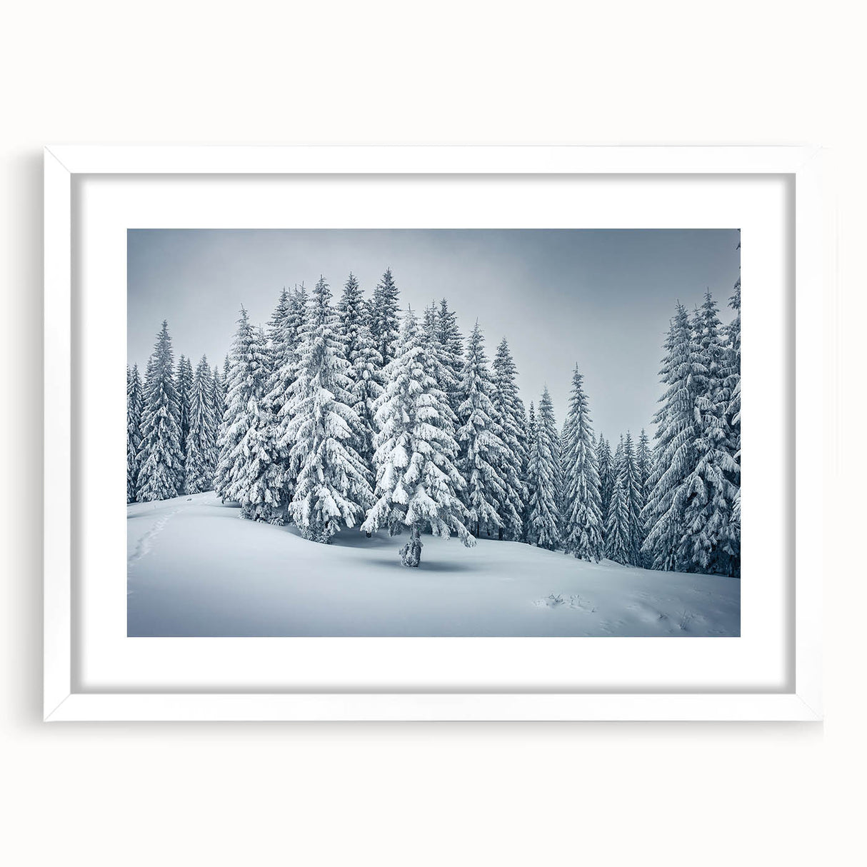 Botanical forest wall art collection featuring vibrant floral and tree designs in a white frame with a mat, ideal for enhancing any modern interior decor.