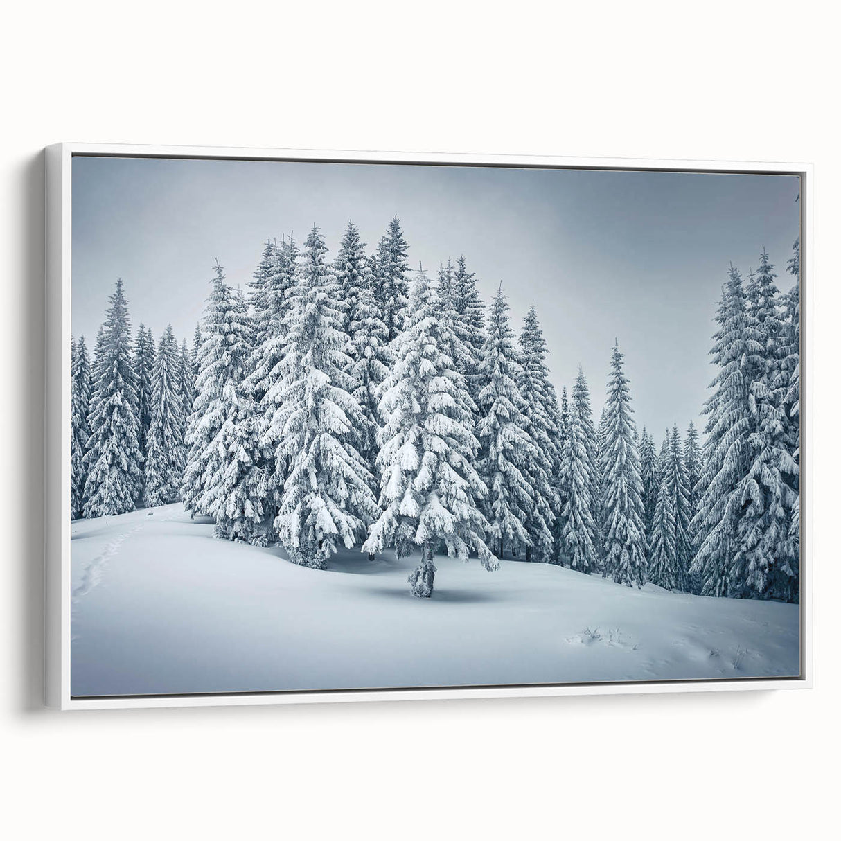 Framed wall art featuring a botanical forest design with vibrant flowers and trees, showcased from a side view against a white backdrop, ideal for home decor.