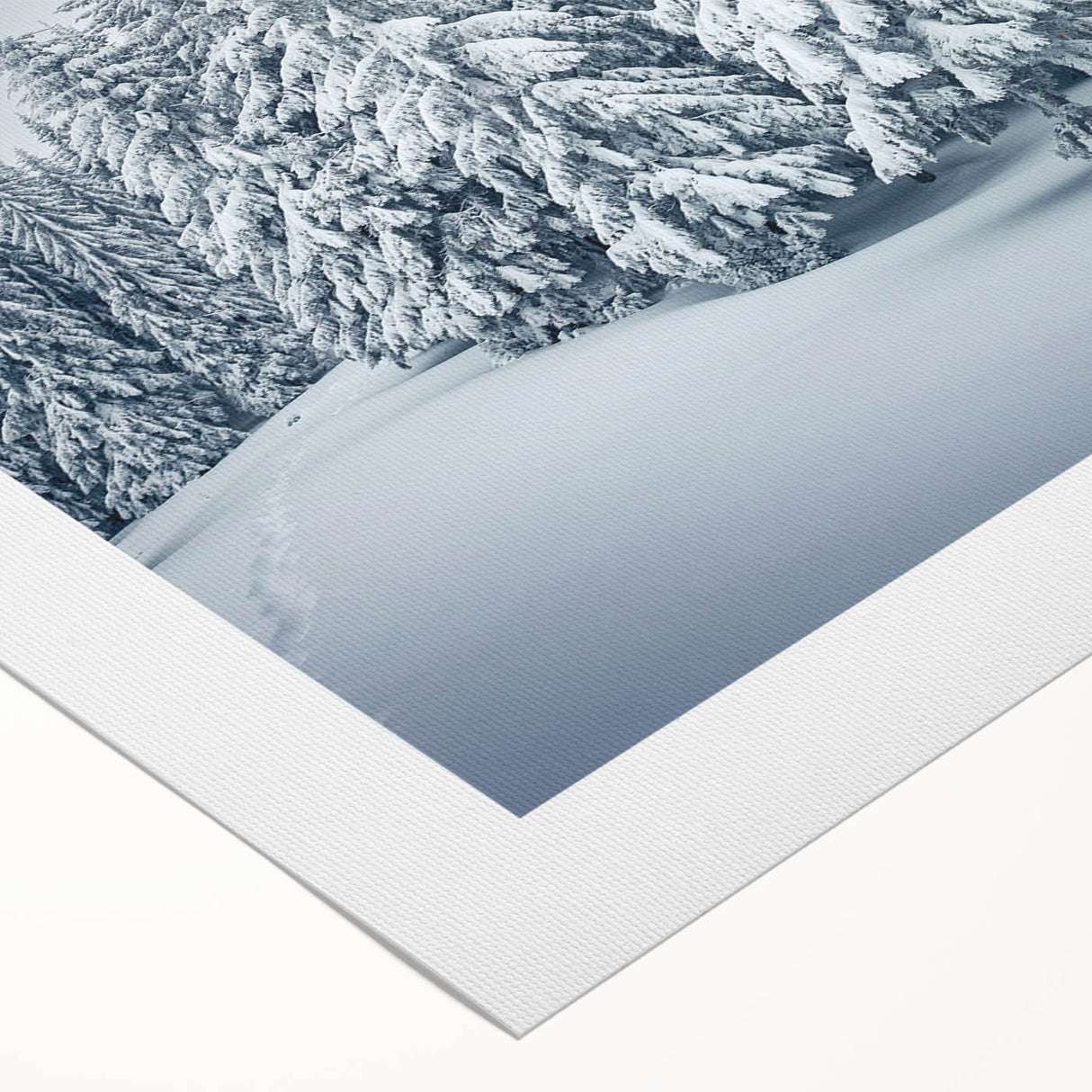 Botanical wall art showcasing a vibrant forest scene with lush green trees and colorful flowers, printed on rolled canvas for easy display and decor. Perfect for nature lovers and adding a touch of tranquility to any space.