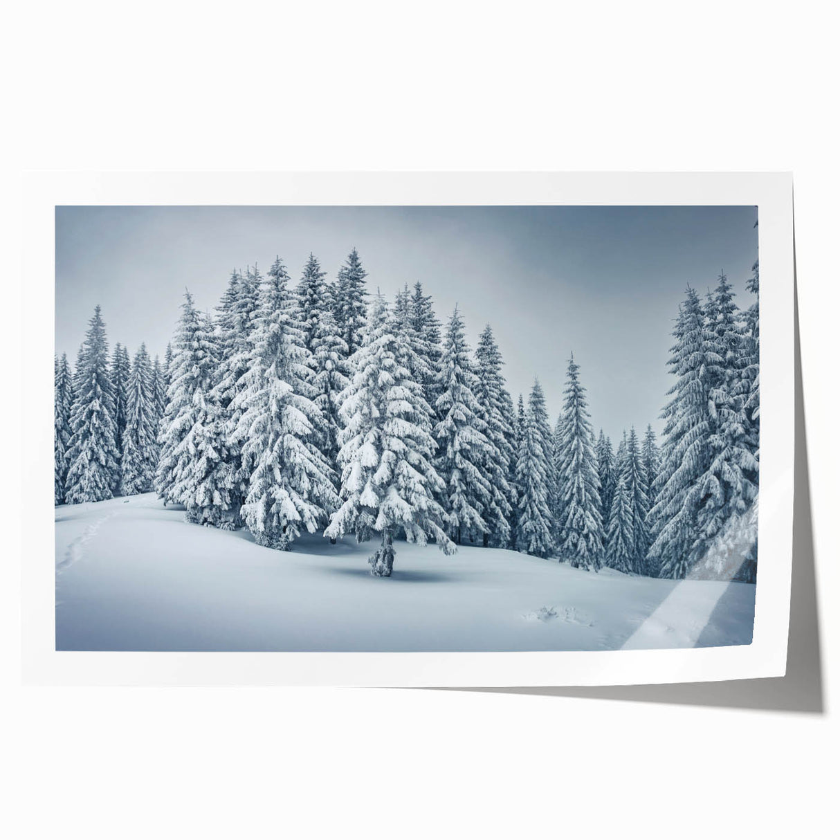 Vibrant floral wall art print depicting a lush botanical forest scene with various trees and colorful flowers, ideal for home decor and nature lovers.