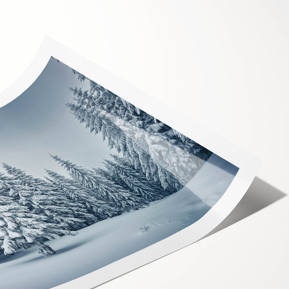 Botanical wall art print featuring a vibrant forest design with colorful flowers and trees, rolled for easy transport and display in home decor settings.