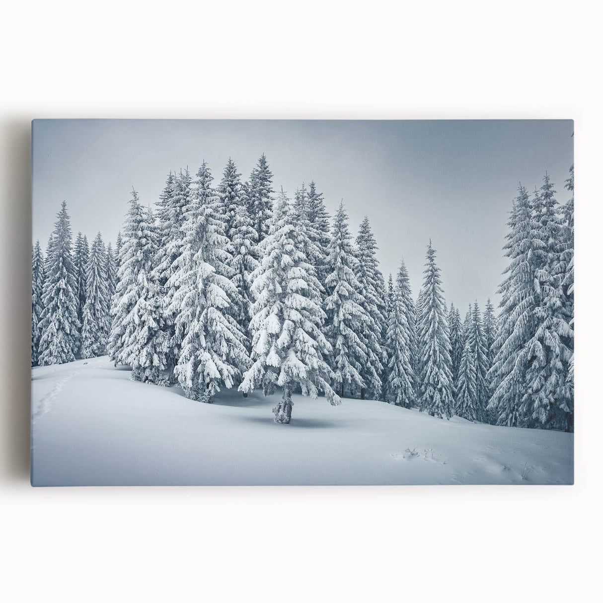 Stretched canvas wall art featuring a vibrant botanical forest design with colorful flowers and trees, perfect for adding a natural touch to home decor.