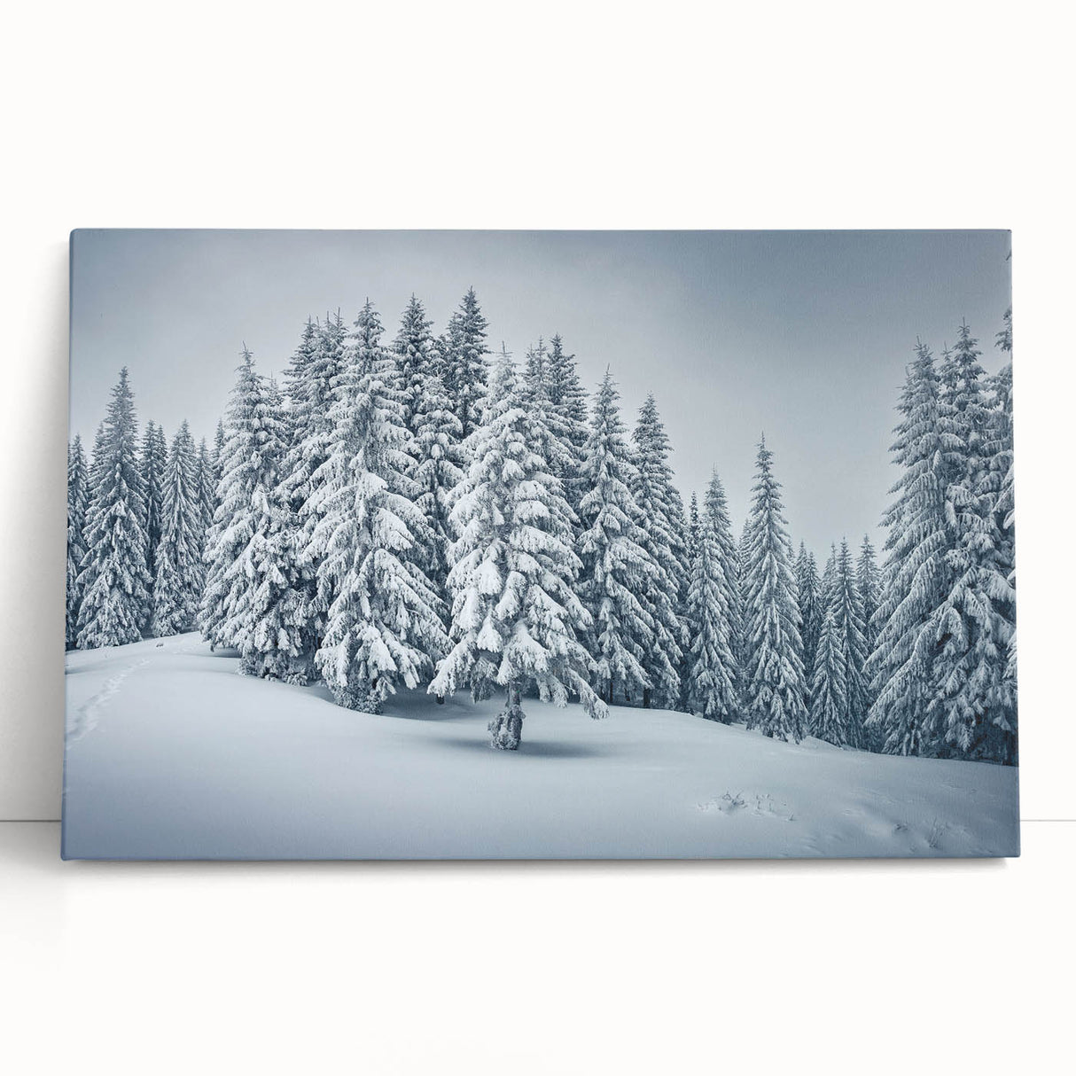 Botanical wall art featuring a vibrant design of flowers and trees, printed on stretched canvas, leaning against a neutral wall, showcasing intricate details and vivid colors. Ideal for nature lovers seeking decorative home accents.