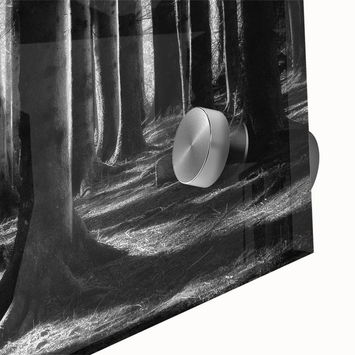 Close-up of a botanical forest wall art design showcasing vibrant flowers and trees, printed on acrylic glass for a modern aesthetic, ideal for home decor.