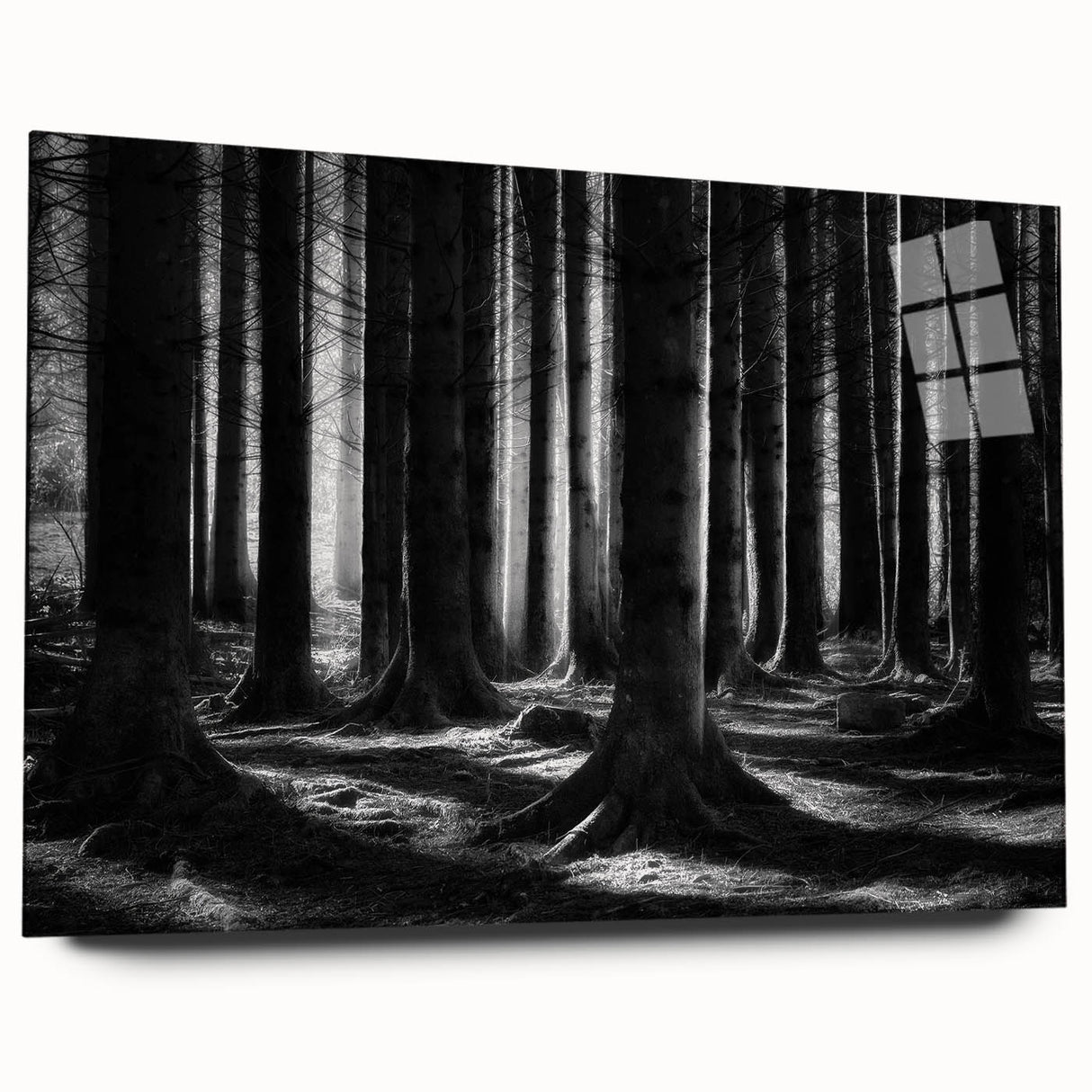 Acrylic glass wall art featuring a botanical forest design with colorful flowers and trees, showcasing a side view that highlights its vibrant colors and artistic details. Perfect for enhancing home decor with nature-inspired aesthetics.