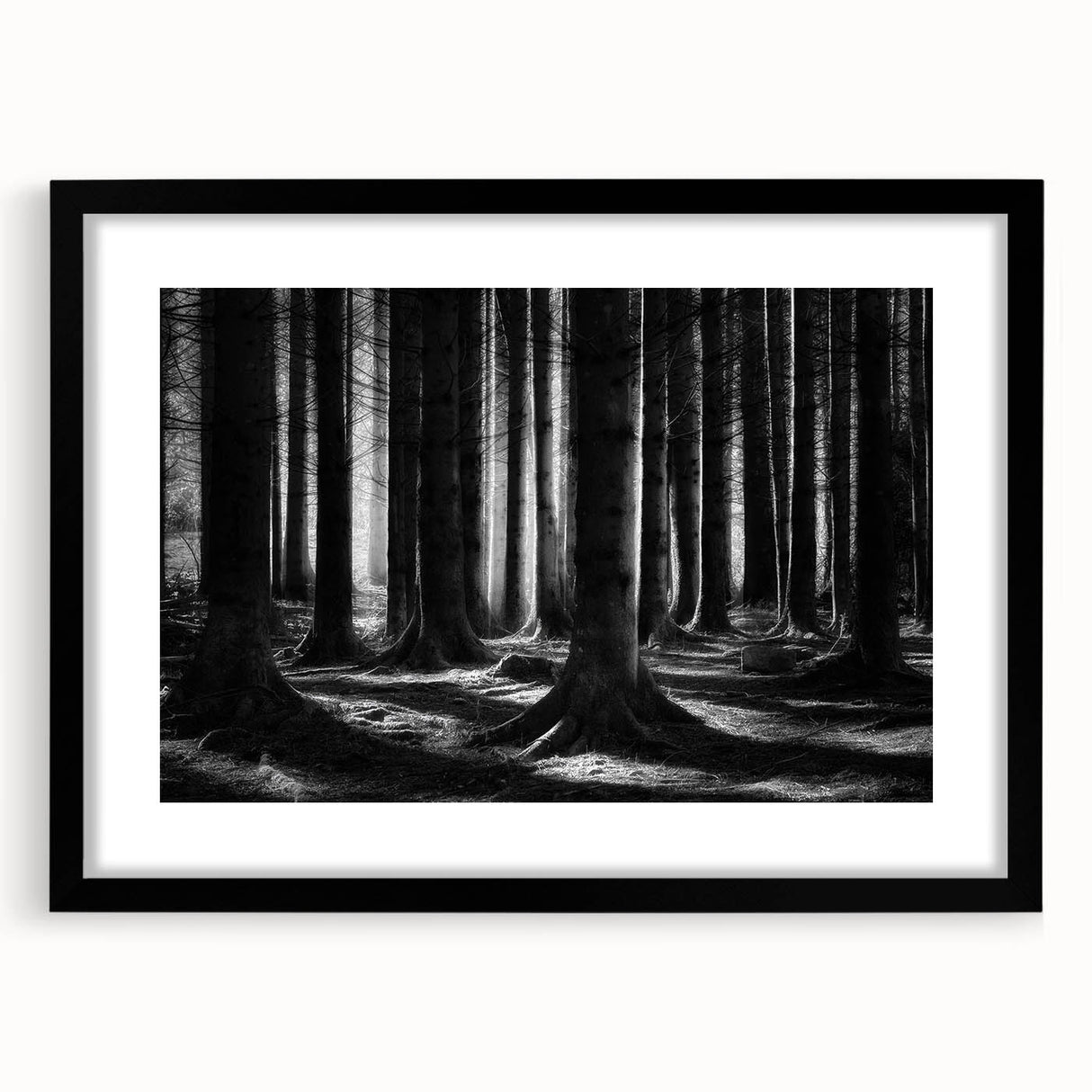 Black-framed botanical wall art featuring a vibrant floral design with trees, perfect for home decor or office settings, enhancing any space's aesthetic appeal.