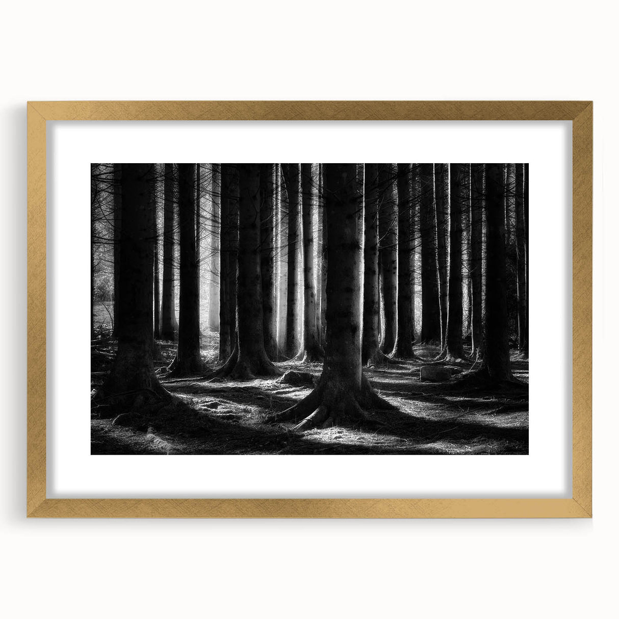 Framed botanical wall art featuring a vibrant forest design with colorful flowers and trees, elegantly presented in a gold frame with a mat, perfect for home decor.