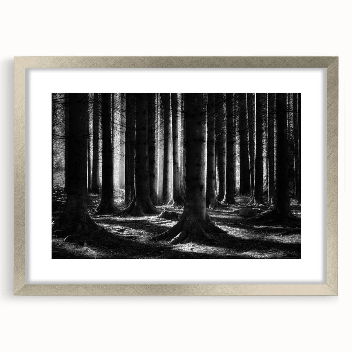 Botanical forest wall art collection featuring vibrant flowers and trees in a silver frame with a mat, ideal for enhancing home decor with nature-inspired aesthetics.