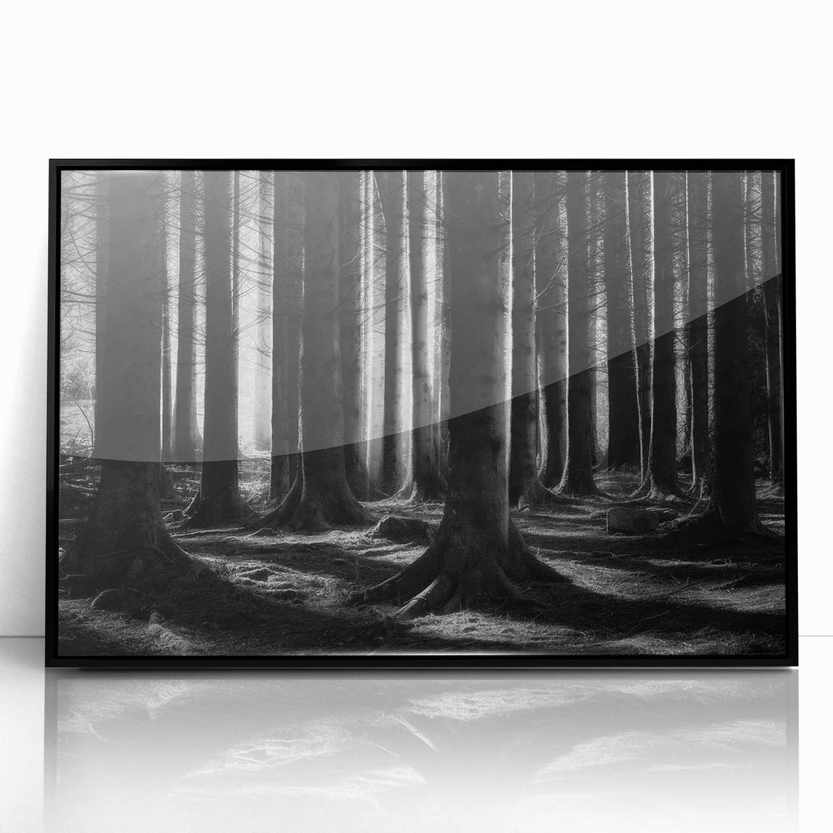 Framed wall art featuring a botanical forest design with colorful flowers and trees, set in a sleek black frame, ideal for enhancing home decor and nature-themed aesthetics.