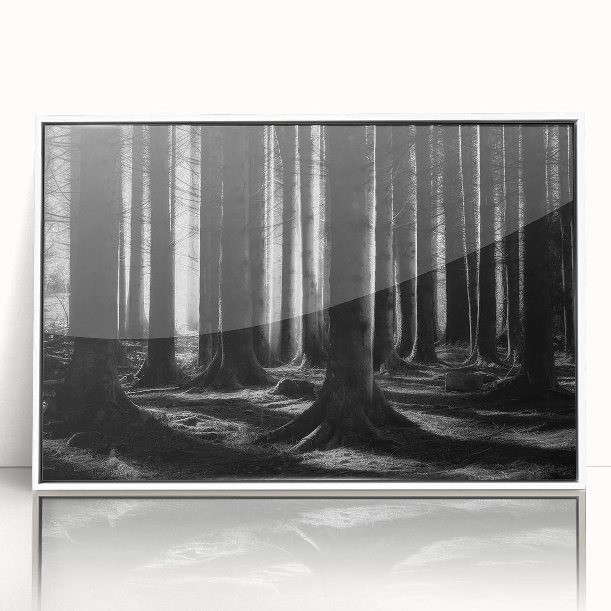 Framed wall art featuring a vibrant botanical design of various flowers and trees, showcased in a white frame with an acrylic front, perfect for enhancing home decor.