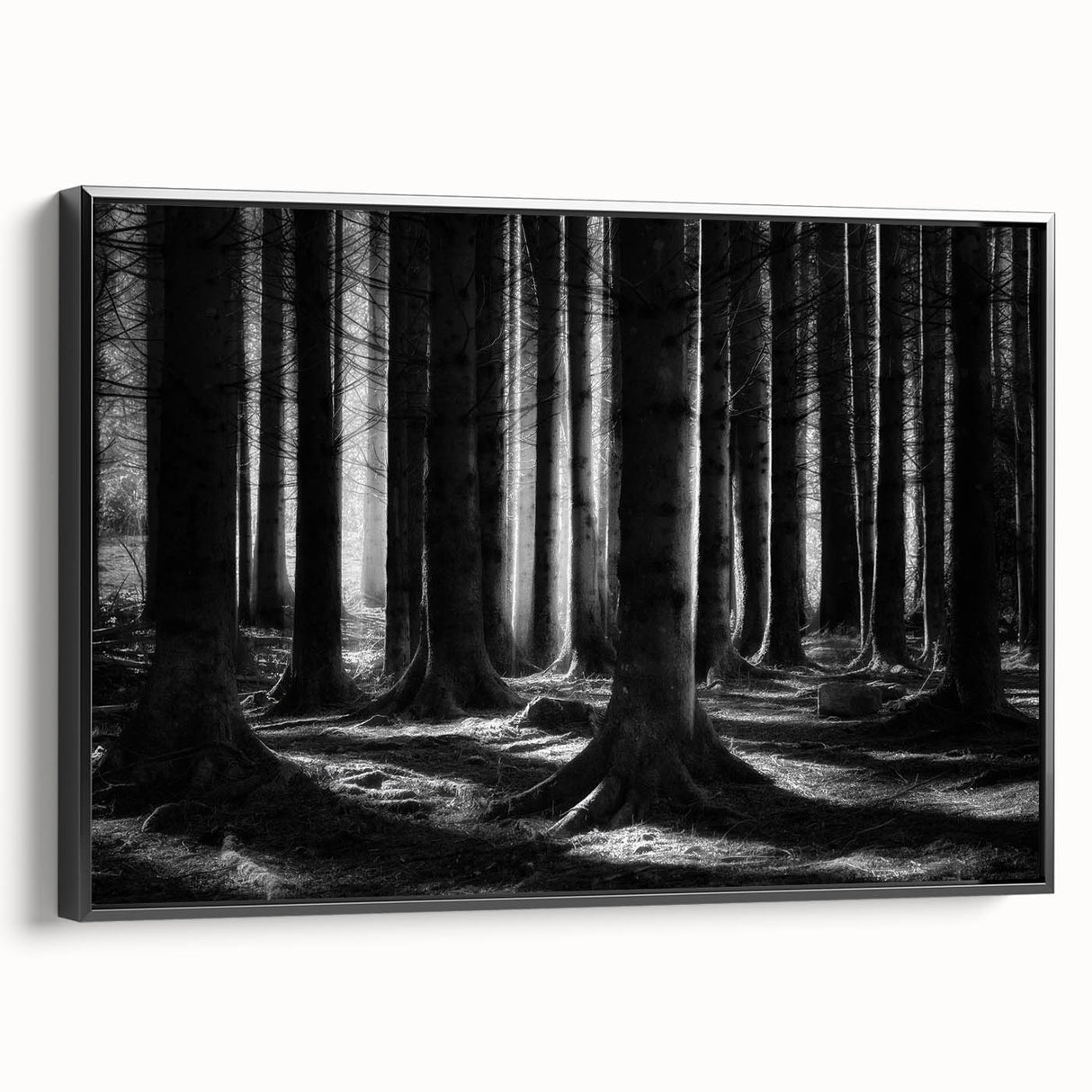 Framed botanical wall art showcasing a forest of colorful flowers and trees, presented in a sleek black frame, ideal for enhancing modern home decor.
