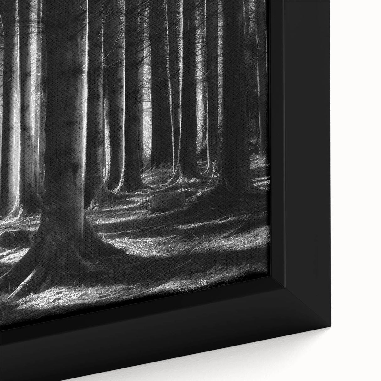 Close-up view of a framed botanical wall art collection featuring vibrant flowers and lush green trees, perfect for adding a natural touch to home decor.