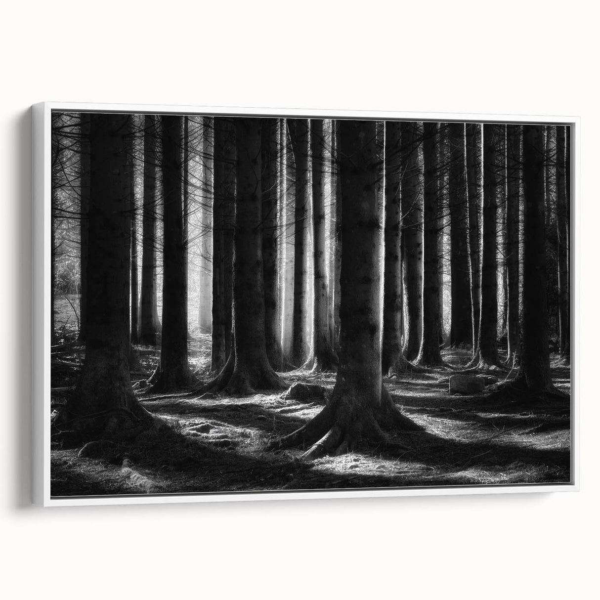 Framed canvas wall art showcasing a vibrant botanical forest design with flowers and trees, presented from a side view against a neutral white backdrop.