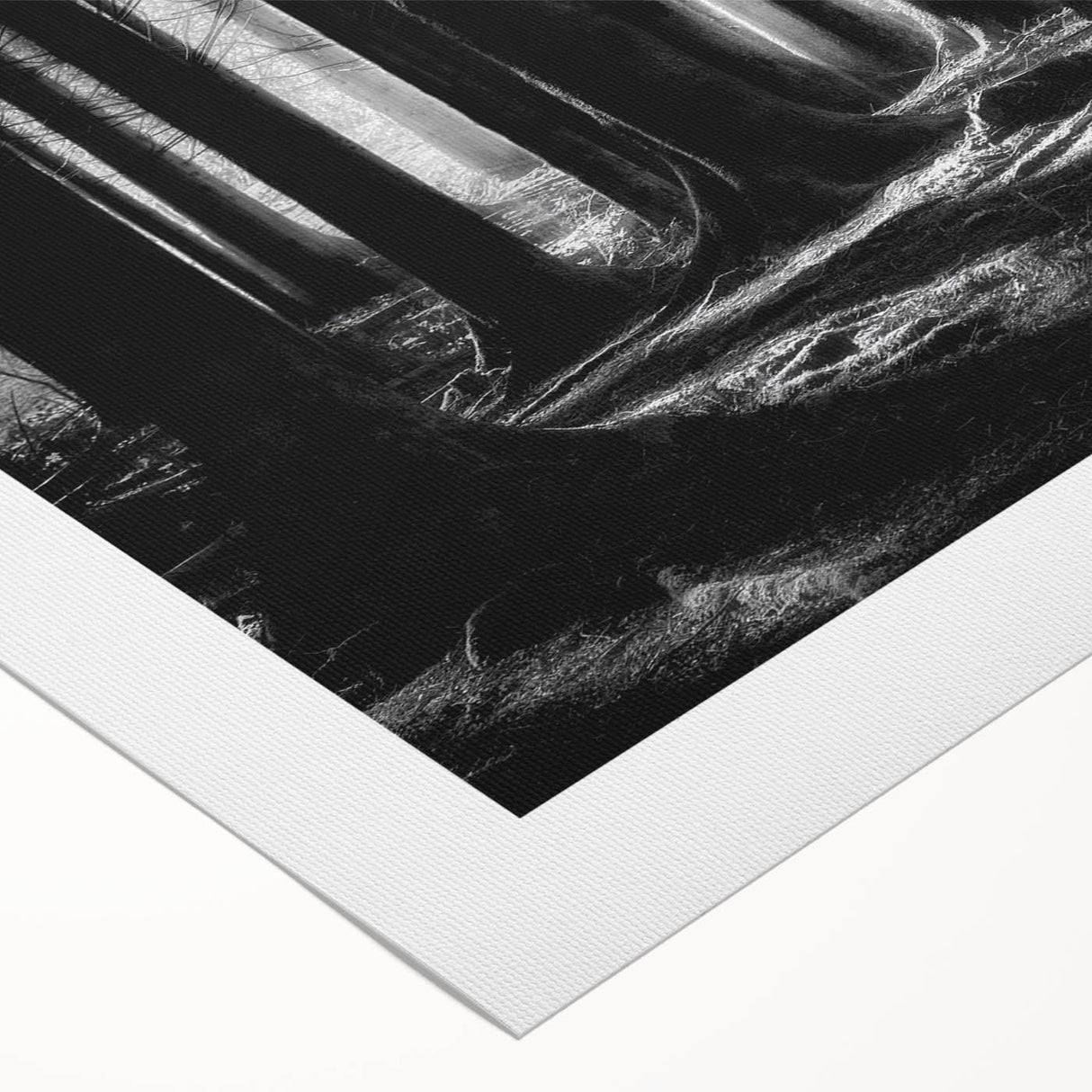 Rolled canvas showcasing a vibrant botanical forest design with various colorful flowers and trees, perfect for enhancing home decor and adding a natural touch.