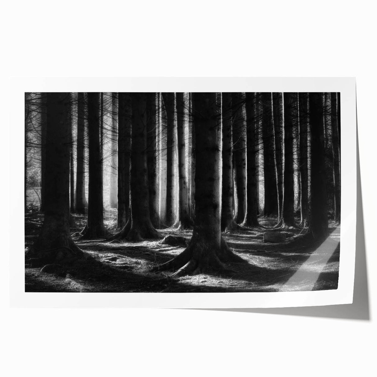 Botanical forest wall art print featuring an intricate design of colorful flowers and trees, showcasing vibrant greens, yellows, and blues, perfect for nature lovers.