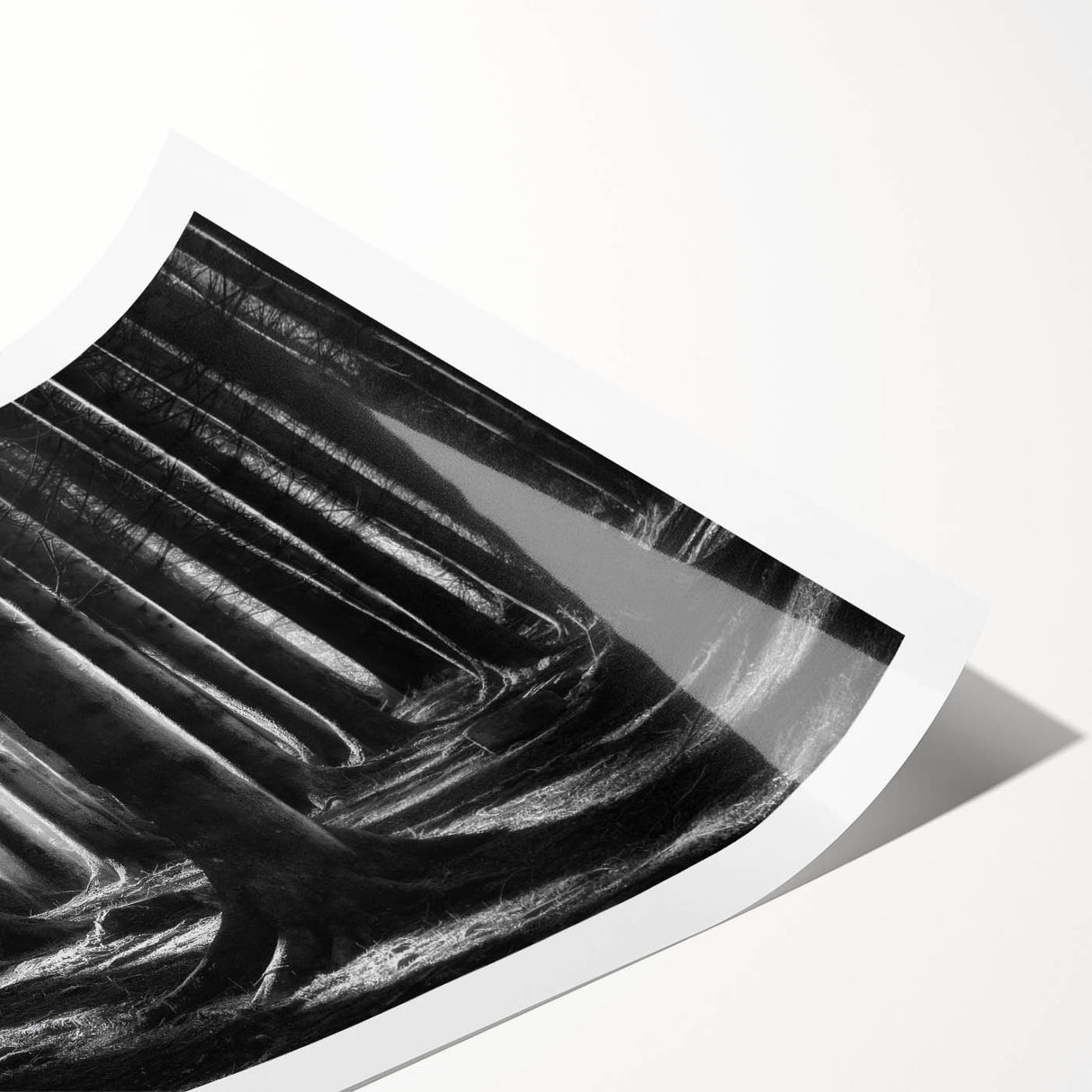 Botanical forest wall art print showcasing vibrant flowers and trees, rolled and ready for display, perfect for nature-inspired home decor.