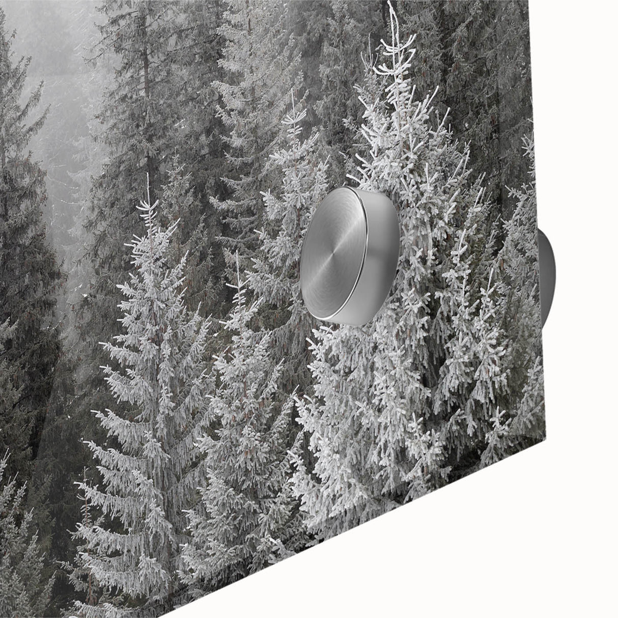 Close-up of a vibrant botanical forest wall art design featuring intricately detailed trees and lush foliage, printed on acrylic glass for a modern decor touch.