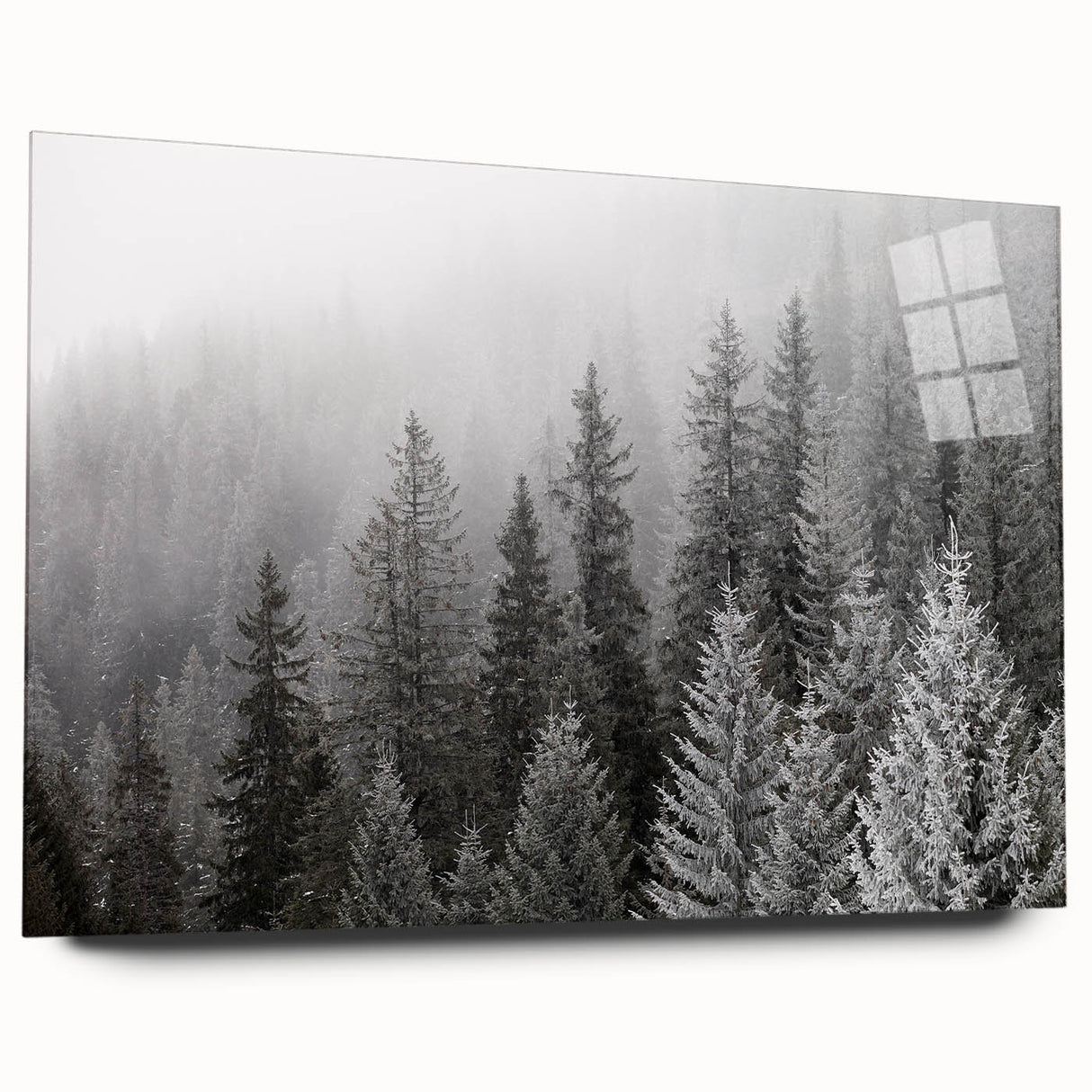 Acrylic glass wall art collection showcasing a vibrant botanical forest design with colorful flowers and trees, elegantly displayed from a side view, ideal for enhancing any decor.