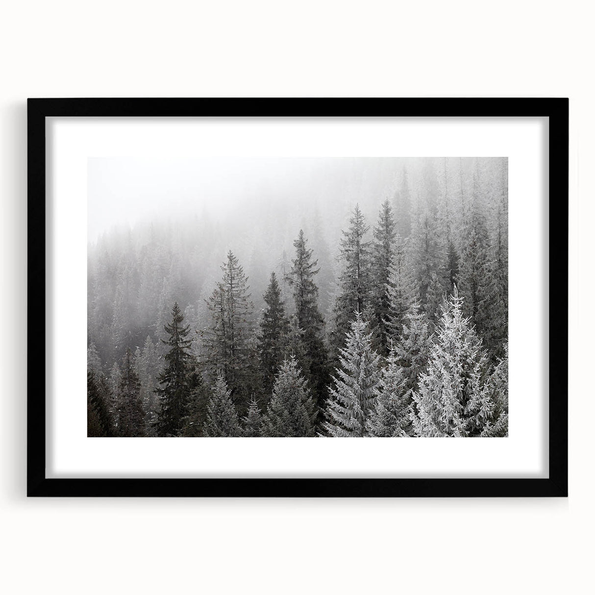 Botanical forest-themed wall art featuring a collection of vibrant flowers and trees in a sleek black frame with a mat, ideal for home decor.