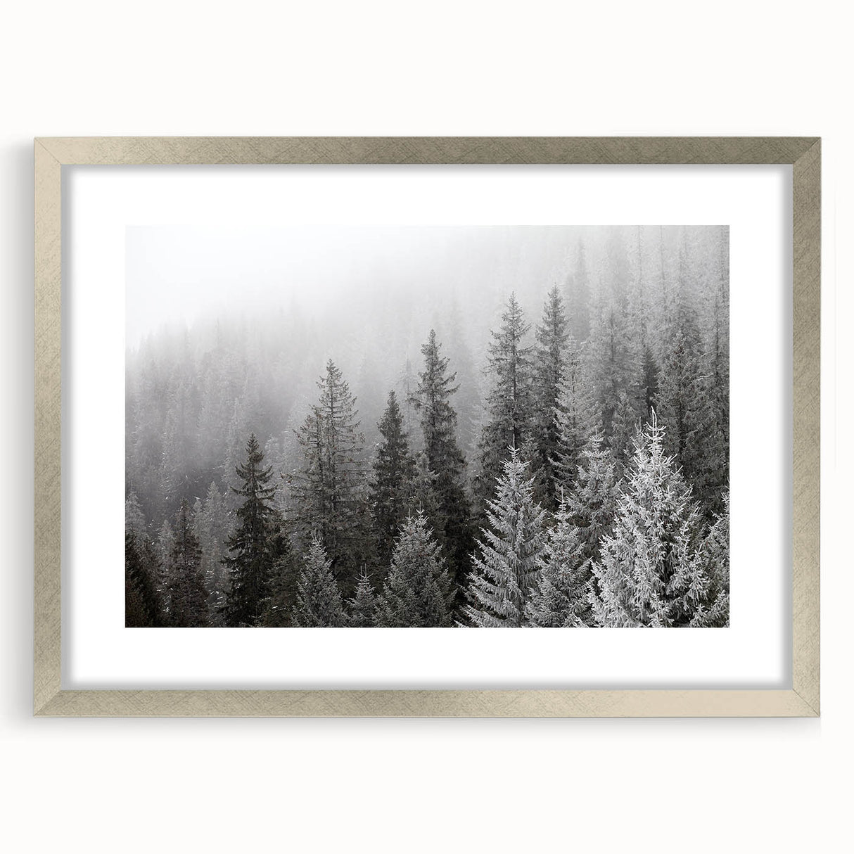 Framed botanical wall art featuring a lush forest design with vibrant flowers and trees, showcased in a sleek silver frame with a mat, perfect for enhancing home decor.