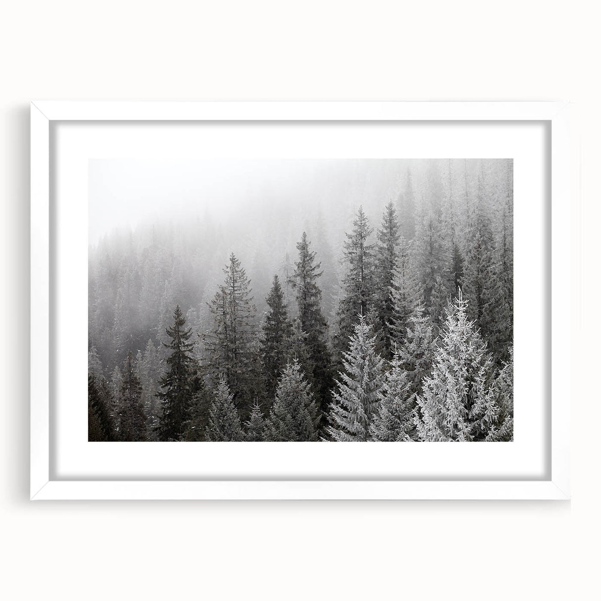 Botanical forest wall art collection featuring vibrant flowers and trees in a white-framed design, ideal for adding natural elegance to any room.