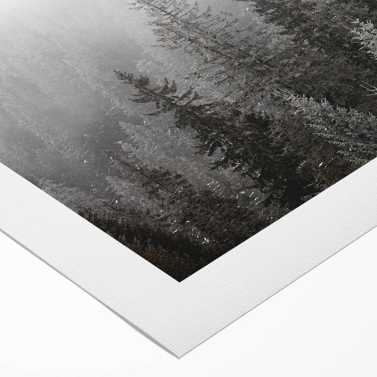 Botanical forest wall art featuring vibrant flowers and trees on rolled canvas, ideal for home decor. The design showcases a lush, colorful landscape that enhances any living space.