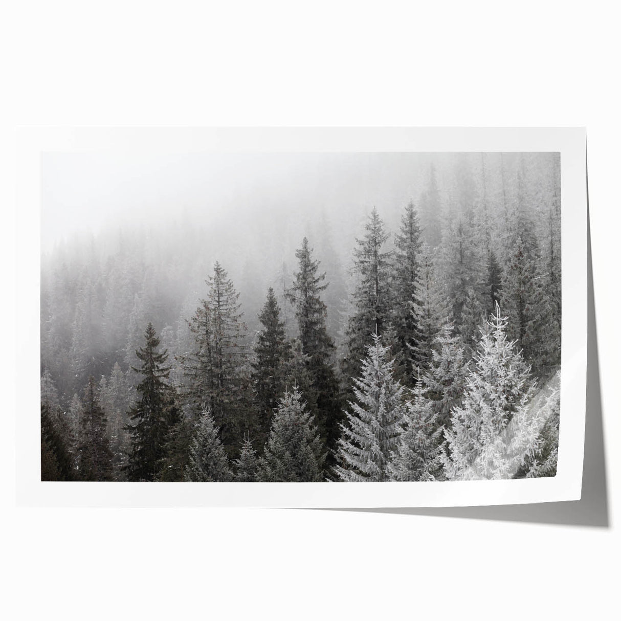 Botanical forest wall art print showcasing vibrant flowers and trees in a lush green setting, ideal for home decor or nature-themed spaces. Perfect for adding a touch of tranquility and color to any room.