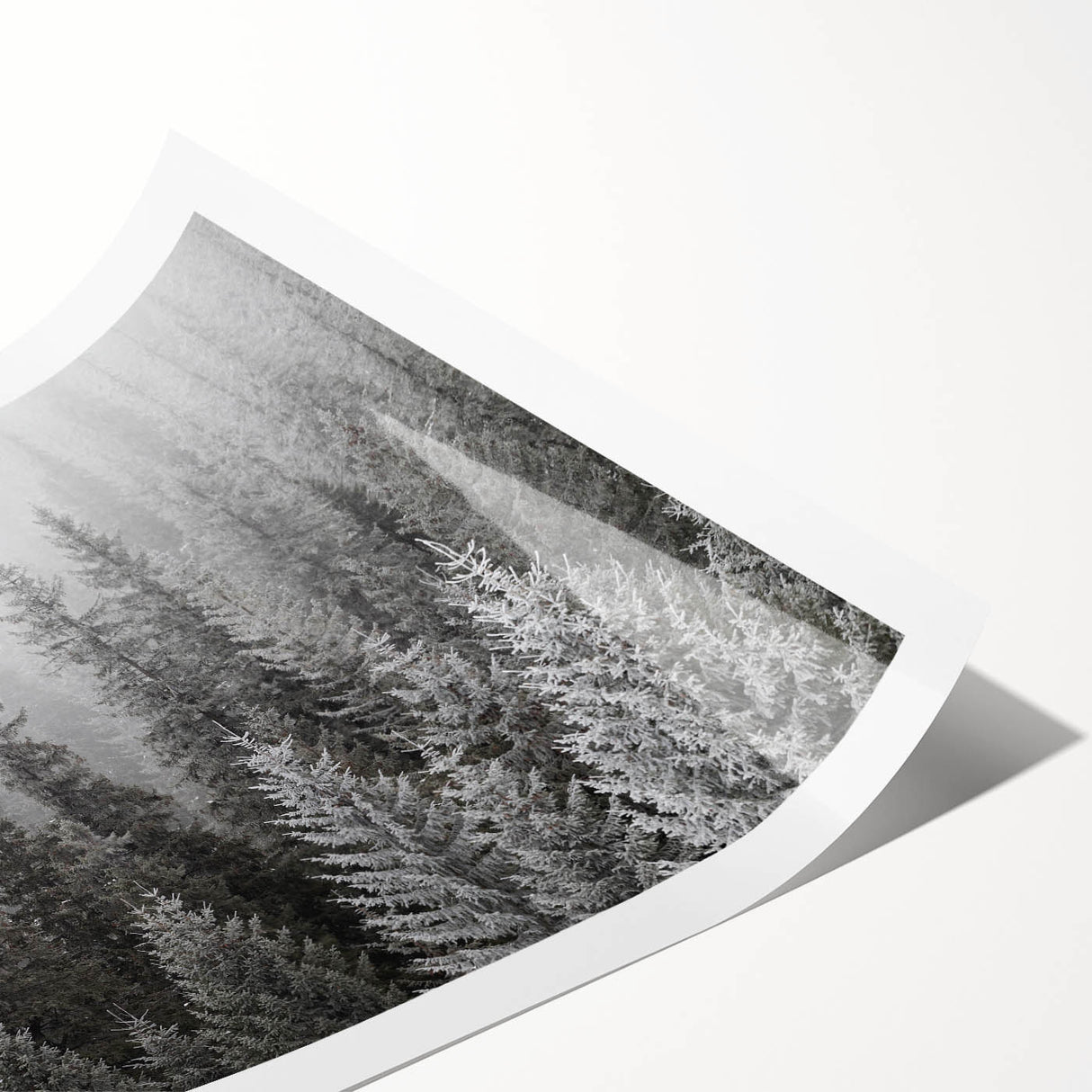 Botanical forest wall art print showcasing vibrant flowers and trees in a harmonious design, perfect for enhancing home decor with a natural theme.