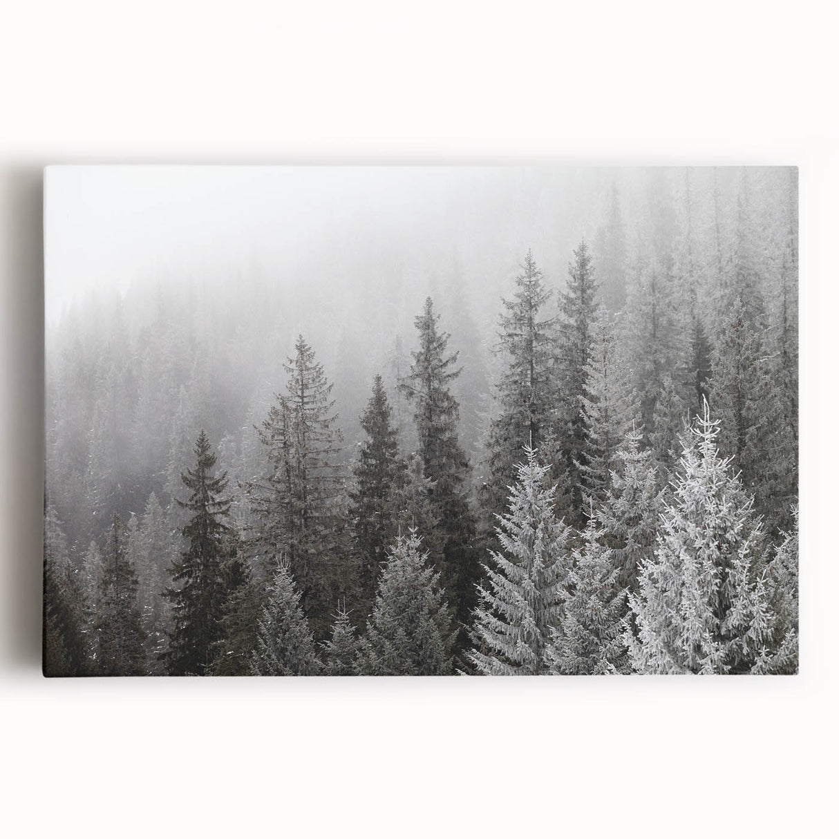 Stretched canvas wall art showcasing a vibrant botanical forest design with colorful flowers and trees, perfect for enhancing home decor and bringing nature indoors.