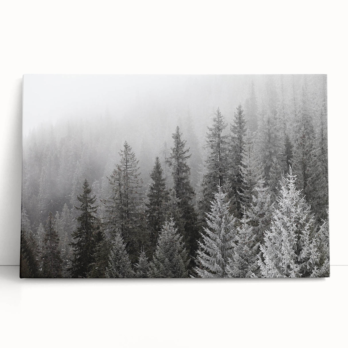 Stretched canvas wall art showcasing a vibrant botanical forest design with colorful flowers and trees, perfect for adding a touch of nature to any room decor.