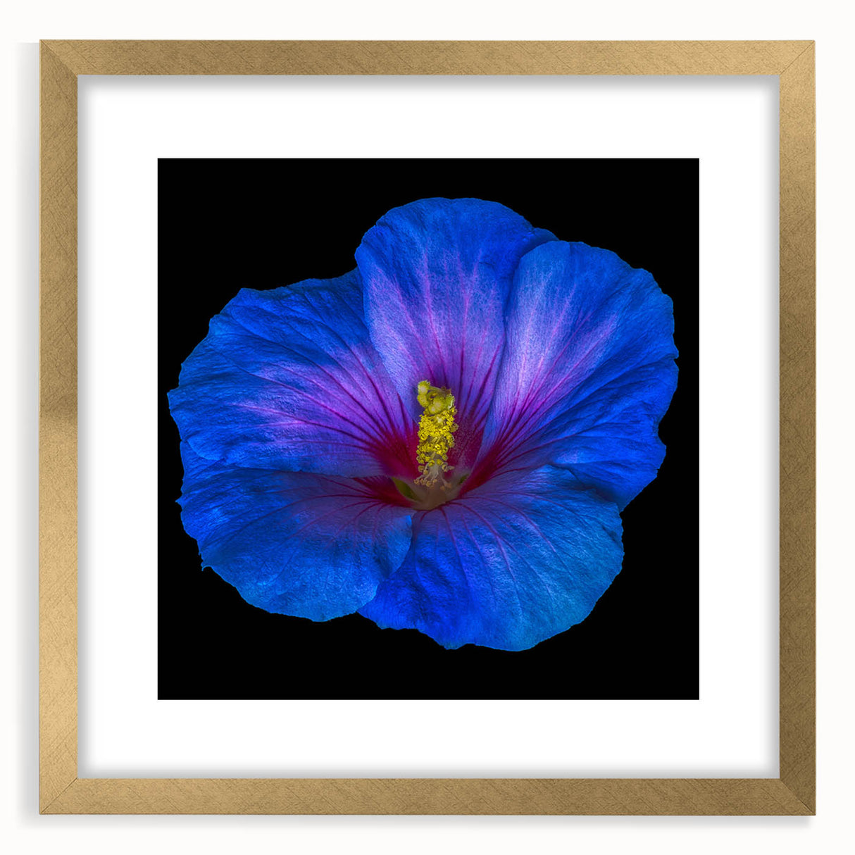 Elegant framed wall art featuring botanical hibiscus design with a gold mat, perfect for adding a touch of nature-inspired decor to any room. Ideal for floral-themed interiors.