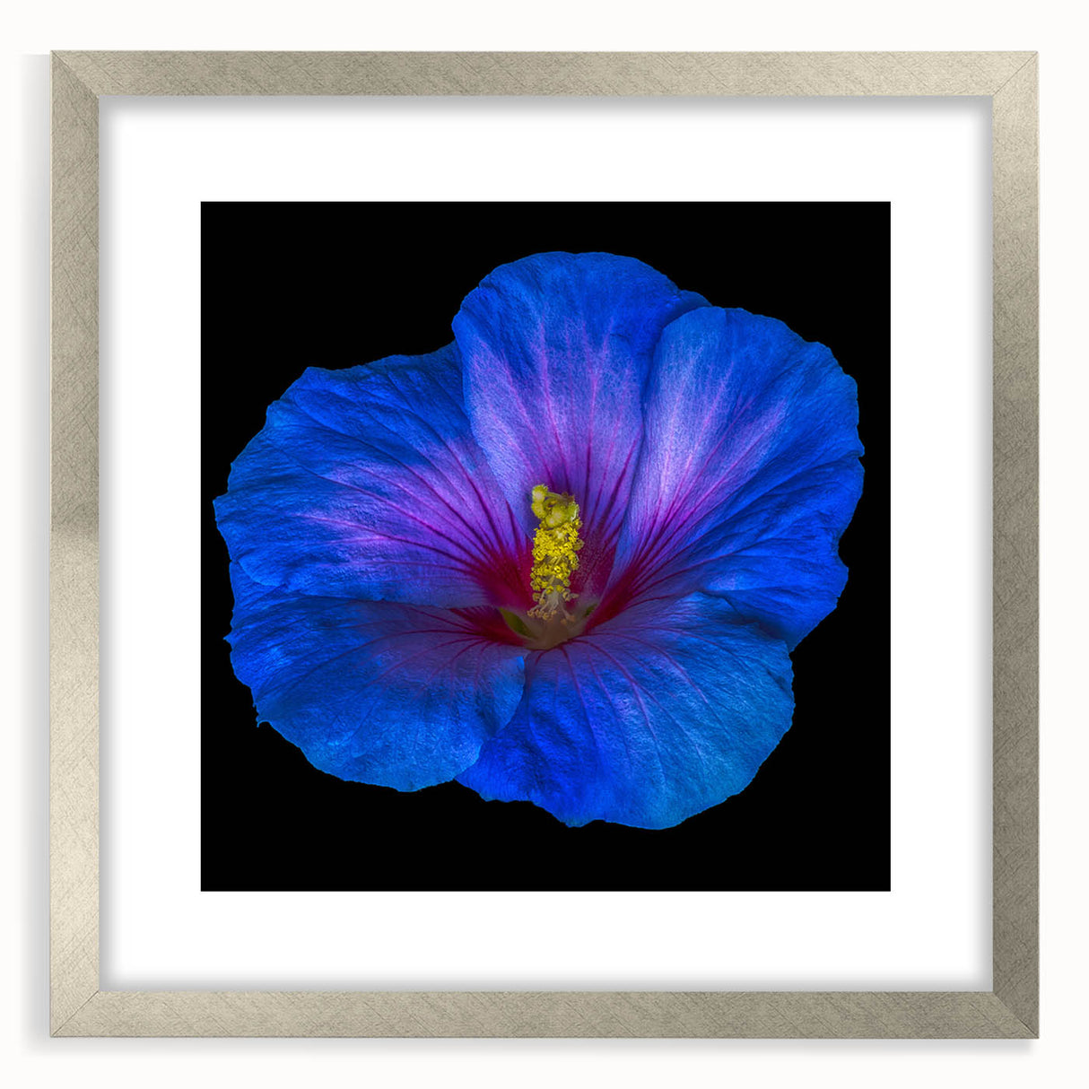 Botanical wall art featuring a vibrant hibiscus design in a sleek silver frame with matting, perfect for adding elegance to home decor.